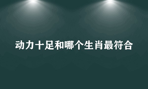 动力十足和哪个生肖最符合