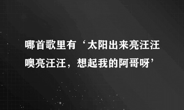 哪首歌里有‘太阳出来亮汪汪噢亮汪汪,想起我的阿哥呀’