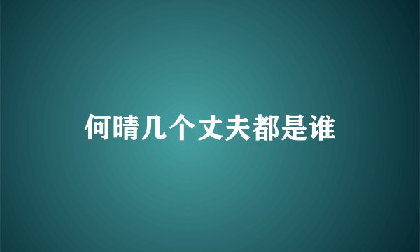 何晴几个丈夫都是谁