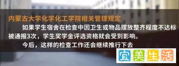博士研究生宿舍床上摆布偶影响奖学金评选？校方做出回应！