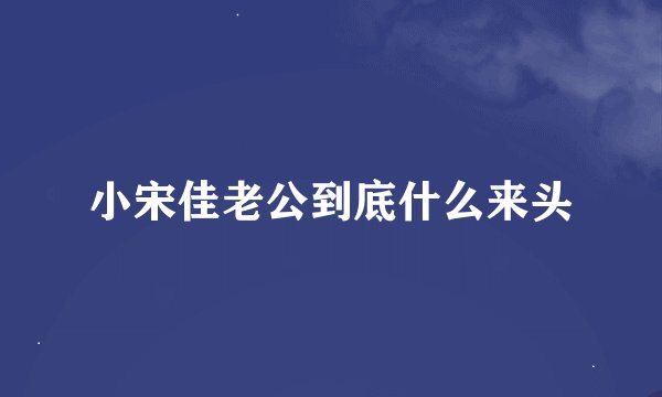 小宋佳老公到底什么来头