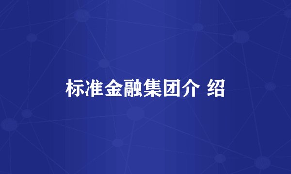 标准金融集团介 绍