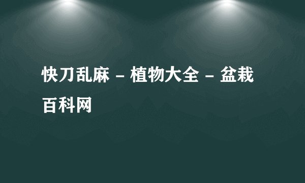 快刀乱麻 - 植物大全 - 盆栽百科网