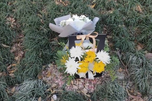 武汉女子因“遛狗冲突”坠亡，辱骂者已搬离小区，他们这是想要逃避责任吗？