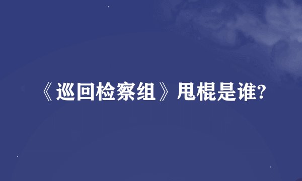 《巡回检察组》甩棍是谁?