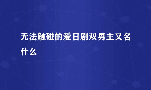 无法触碰的爱日剧双男主又名什么