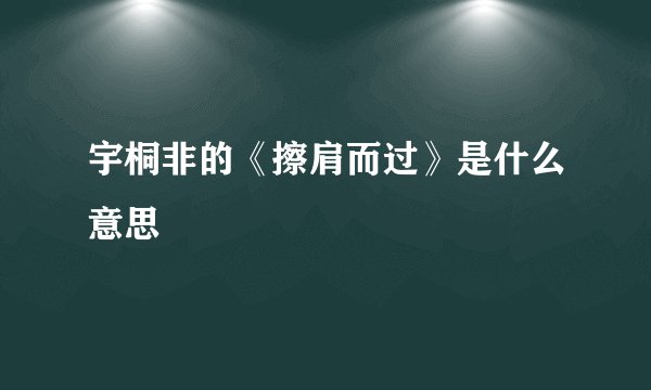 宇桐非的《擦肩而过》是什么意思