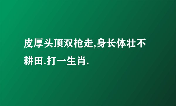 皮厚头顶双枪走,身长体壮不耕田.打一生肖.