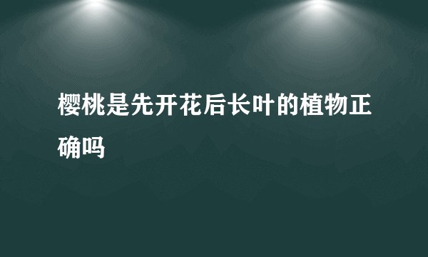 樱桃是先开花后长叶的植物正确吗
