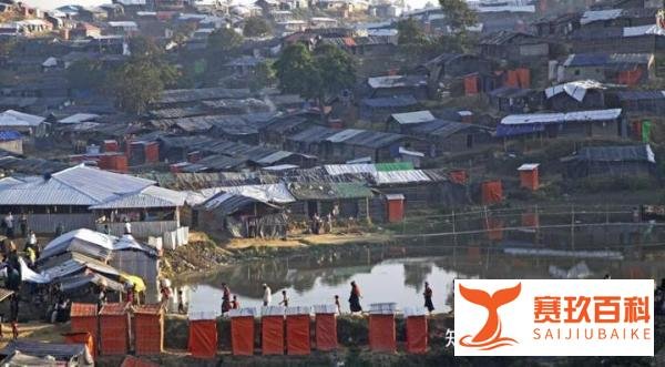 联合国：缅甸成为2023年世界上最大的鸦片生产国