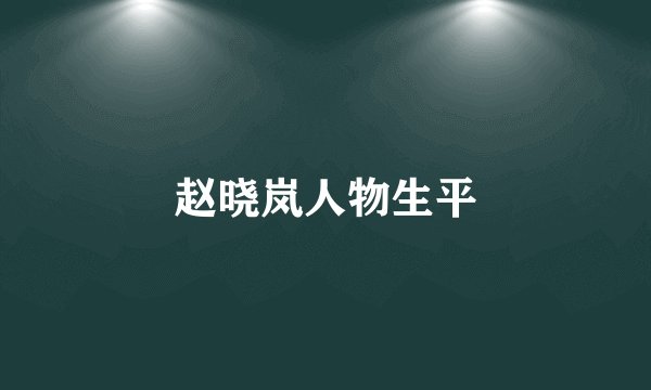 赵晓岚人物生平