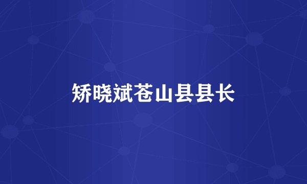 矫晓斌苍山县县长