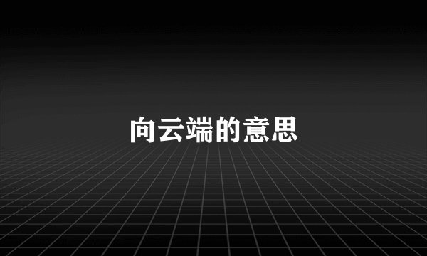 向云端的意思