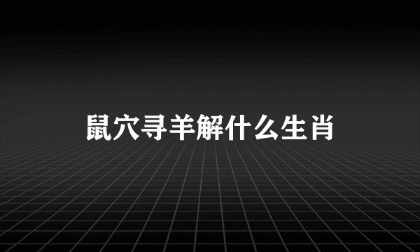 鼠穴寻羊解什么生肖