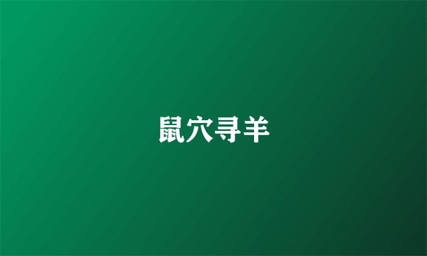 鼠穴寻羊
