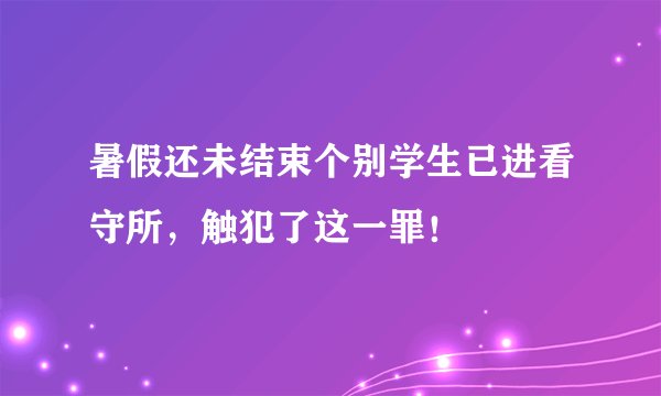 暑假还未结束个别学生已进看守所，触犯了这一罪！