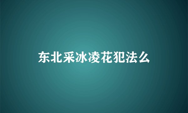 东北采冰凌花犯法么