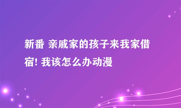 新番 亲戚家的孩子来我家借宿! 我该怎么办动漫