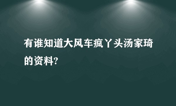 有谁知道大风车疯丫头汤家琦的资料?
