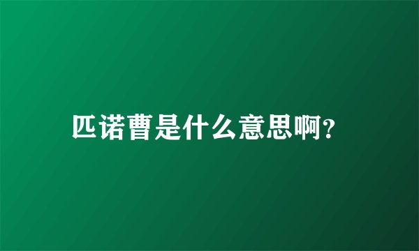 匹诺曹是什么意思啊？