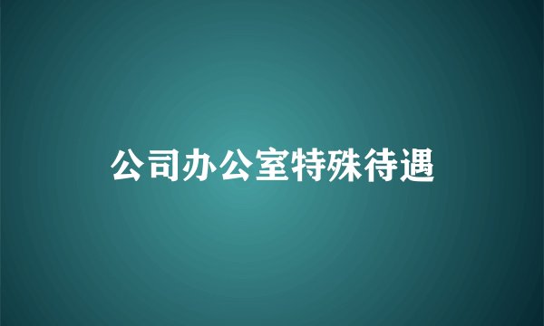公司办公室特殊待遇