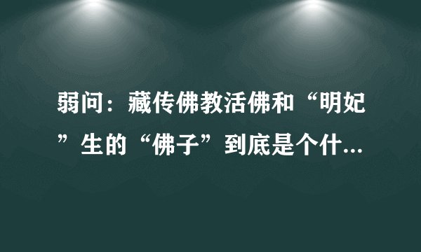 弱问：藏传佛教活佛和“明妃”生的“佛子”到底是个什么地位？
