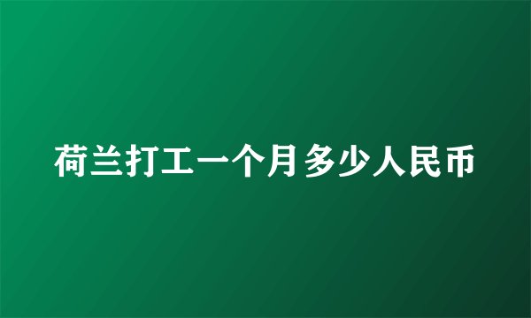 荷兰打工一个月多少人民币