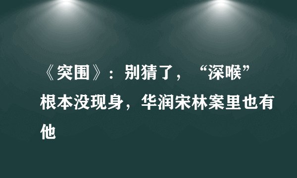 《突围》：别猜了，“深喉”根本没现身，华润宋林案里也有他