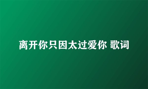 离开你只因太过爱你 歌词