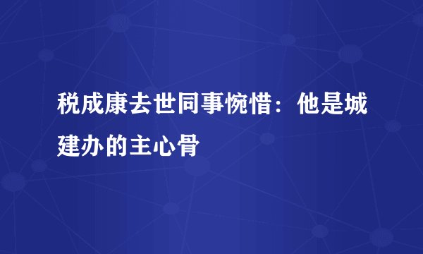 税成康去世同事惋惜：他是城建办的主心骨