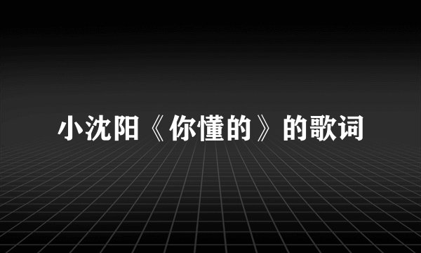 小沈阳《你懂的》的歌词