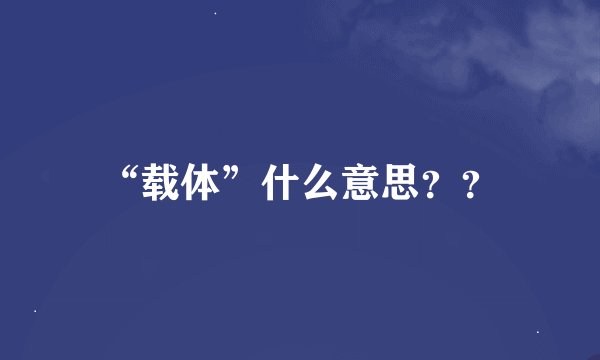 “载体”什么意思？？