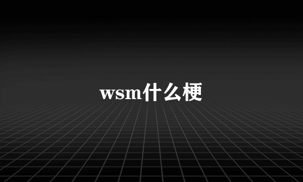 wsm什么梗