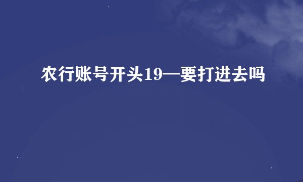 农行账号开头19—要打进去吗