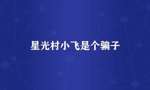 星光村小飞是个骗子