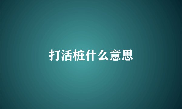 打活桩什么意思