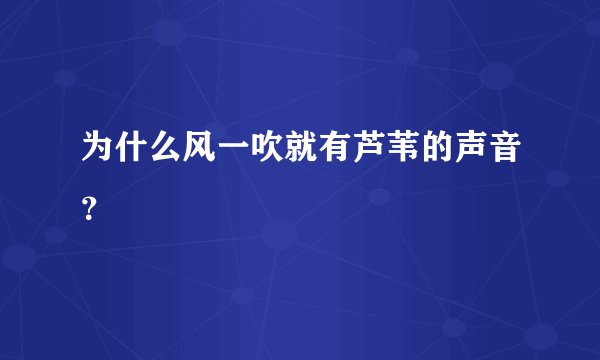 为什么风一吹就有芦苇的声音？