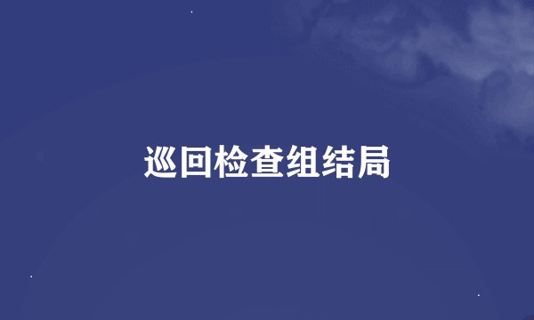 巡回检查组结局