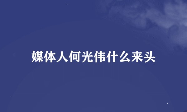 媒体人何光伟什么来头