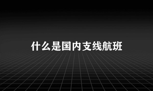 什么是国内支线航班