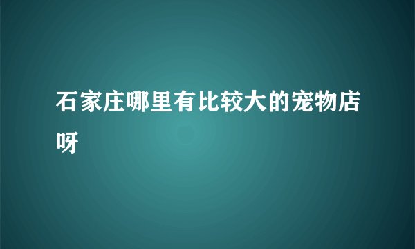 石家庄哪里有比较大的宠物店呀