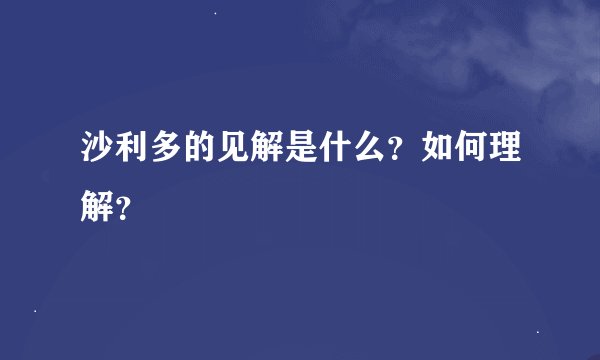 沙利多的见解是什么？如何理解？
