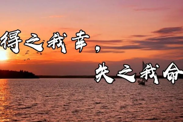 得之我幸,失之我命,得之泰然,失之坦然的意思