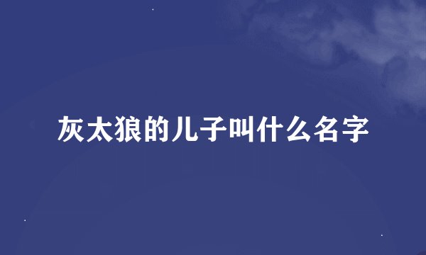 灰太狼的儿子叫什么名字