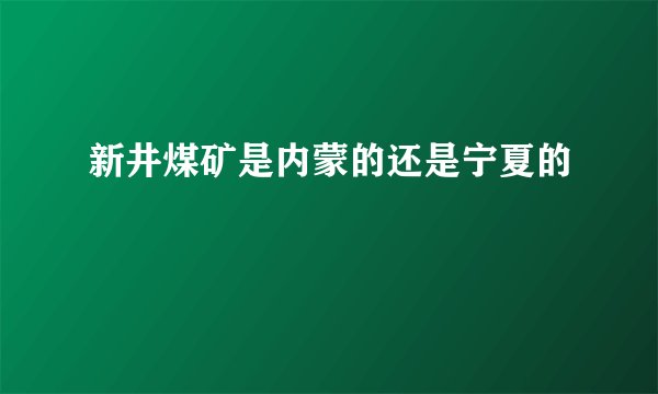 新井煤矿是内蒙的还是宁夏的