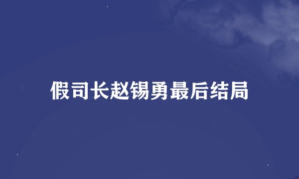 假司长赵锡勇最后结局