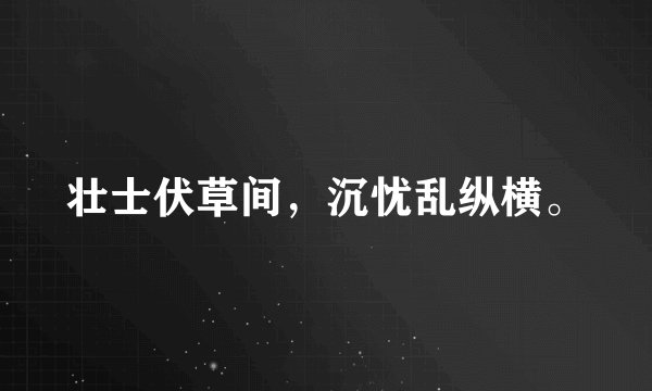 壮士伏草间，沉忧乱纵横。