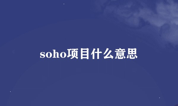 soho项目什么意思