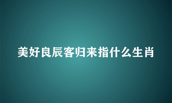 美好良辰客归来指什么生肖
