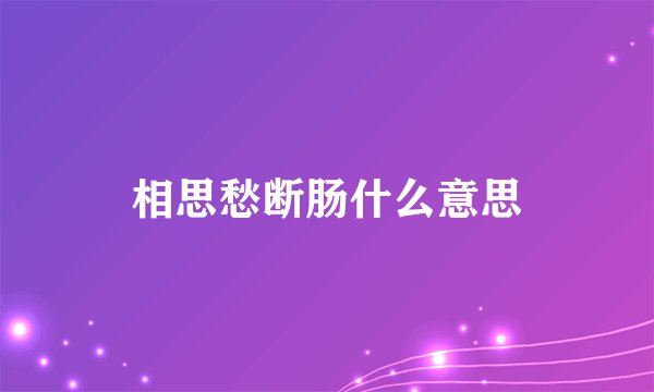 相思愁断肠什么意思